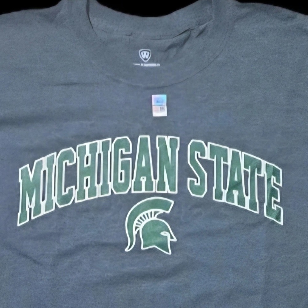 Fanatics Michigan State Spartans Gray Long Sleeve Tee, Size: Large